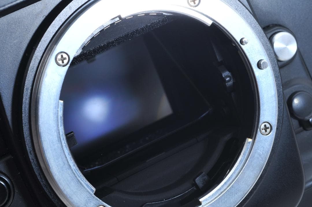 ■美品■ ニコン Nikon F4