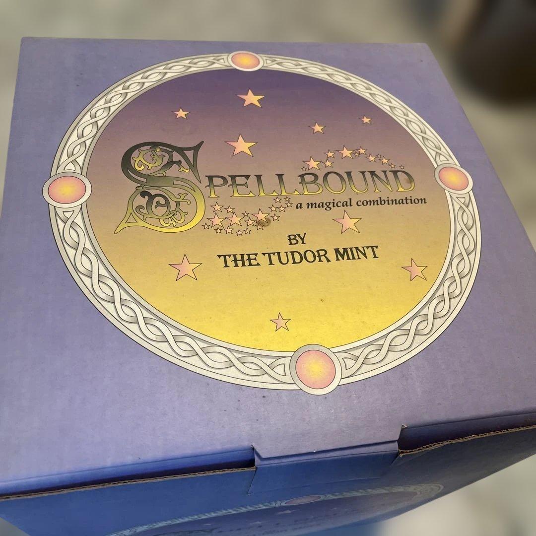 新品未開封　Tudor Mint 社フィギュア　Draco Fenestra