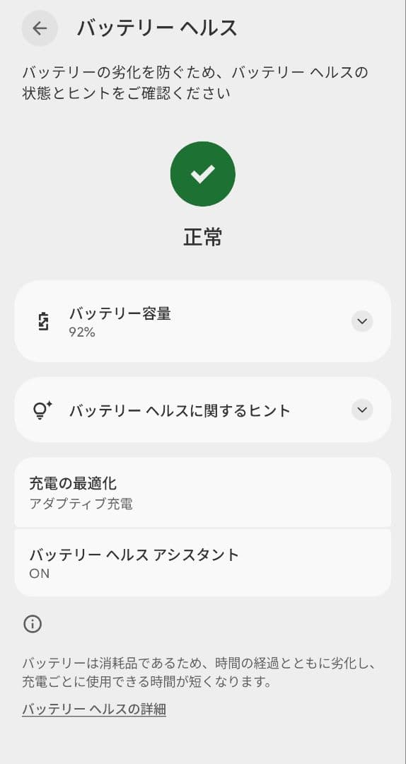 美品 Google Pixel 9 pro XL Porcelan simフリー