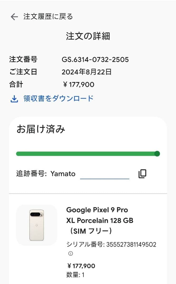 美品 Google Pixel 9 pro XL Porcelan simフリー