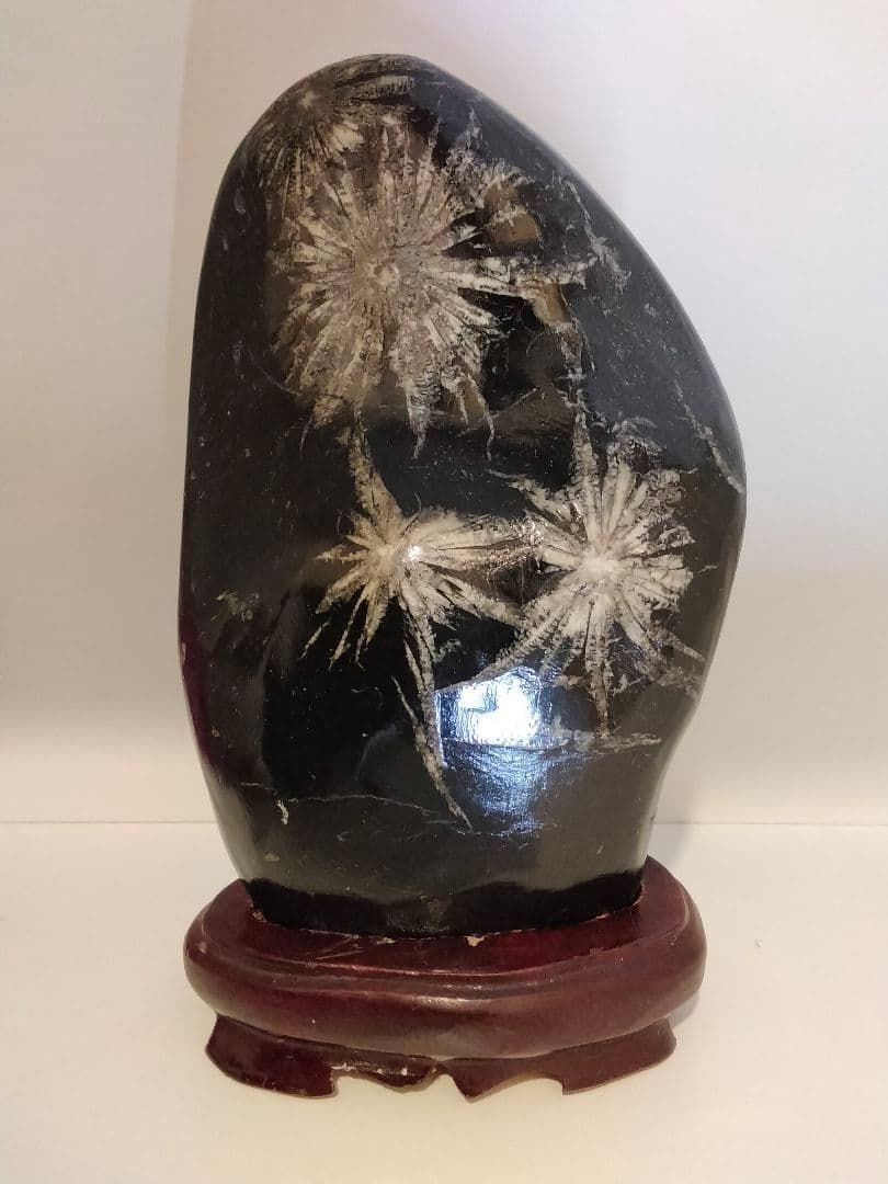 菊花石