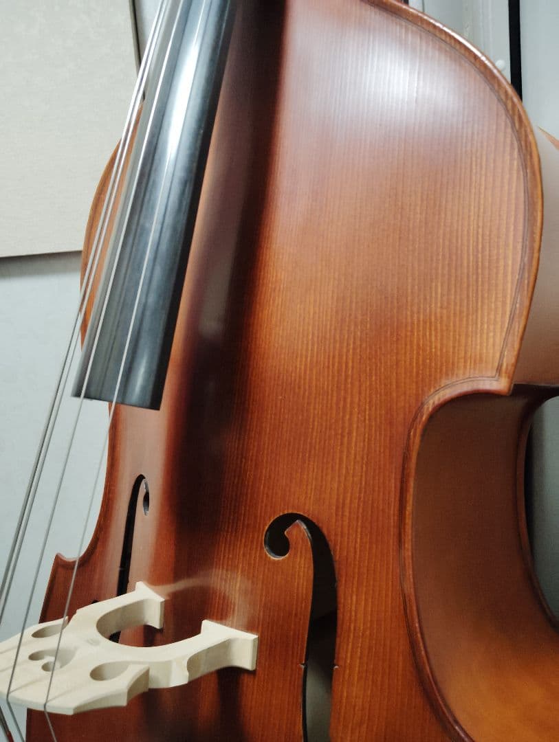 コントラバス ウッドベース グリガ gems2 ラウンドバック 3/4 ケース付