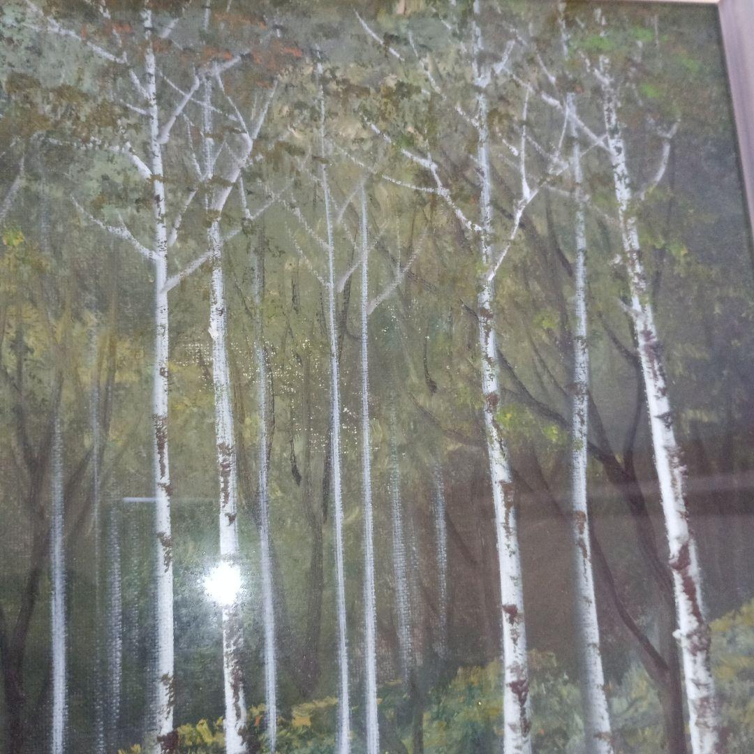 絵画　油彩　田代　彪　「白樺林」　たしろたかし　F6号