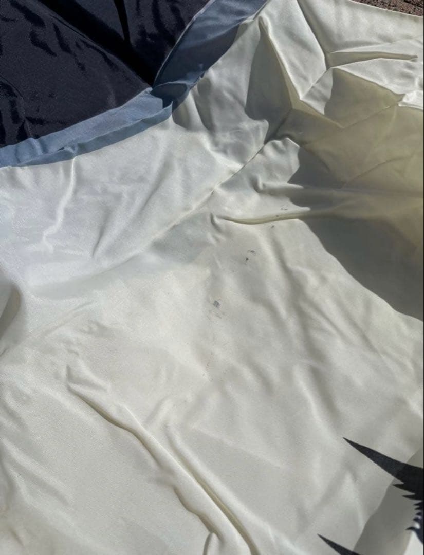 キング印 鯉のぼり セット