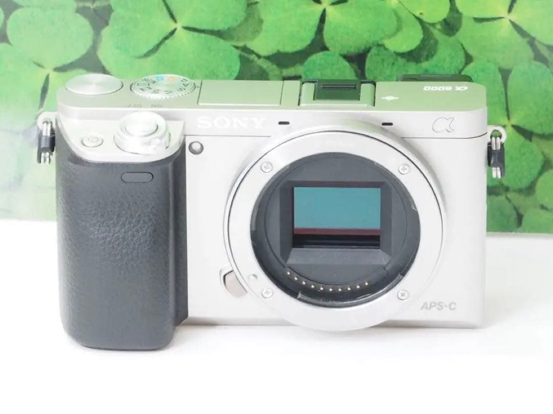 【美品】Wifi搭載❤️軽量 ソニーα6000 2420万画素　標準レンズキット