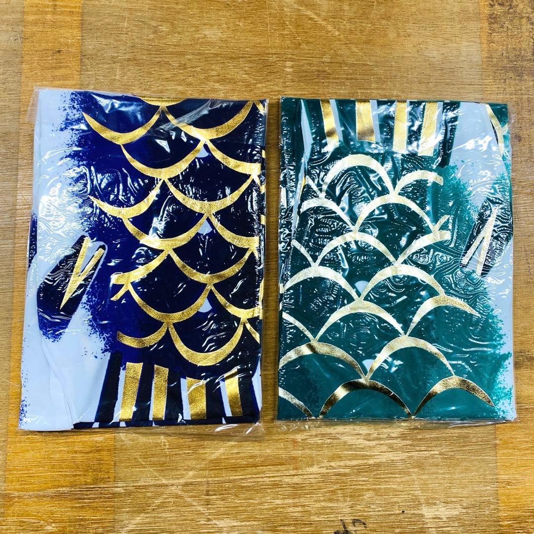 平成錦鯉 4m 6点セット 鯉 こいのぼり 五月 節句