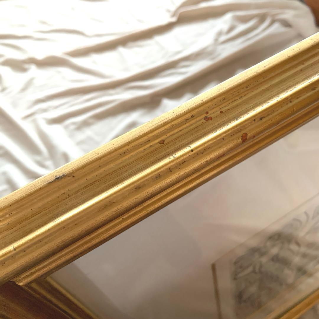 貴重‼️幸地学　銅版画　「実在しない鳥の肖像」グラミー賞公式アーティスト　美術品