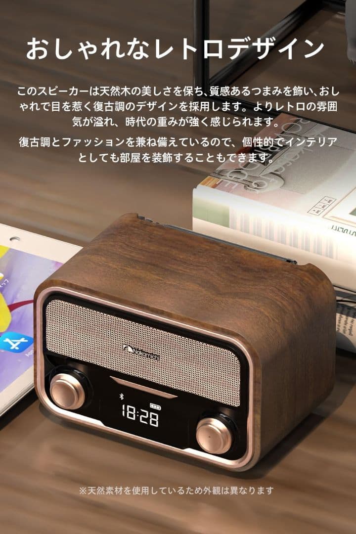 Nakamichi ナカミチサウンド スピーカー SOUNDBOX LITE