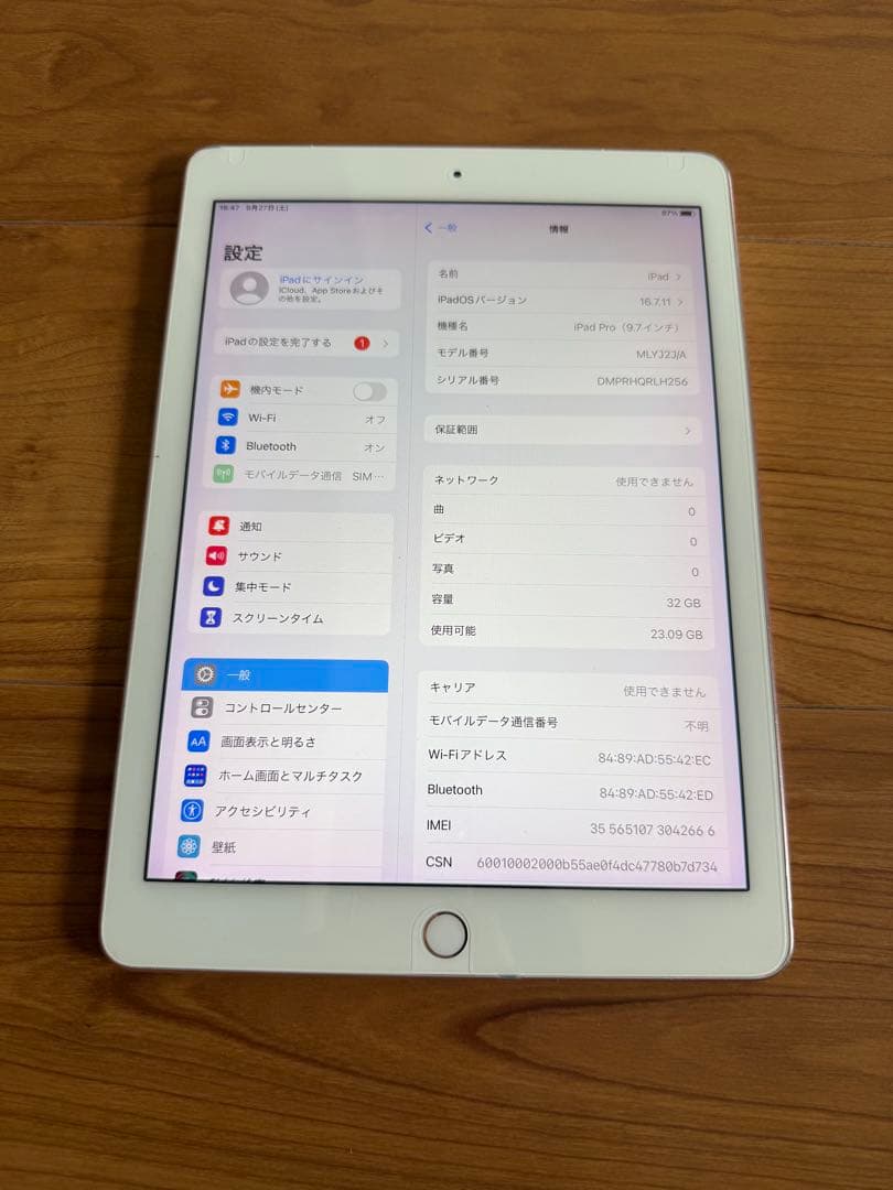 iPad pro 9.7inch 32GB セルラーモデル　画面美品　完動品