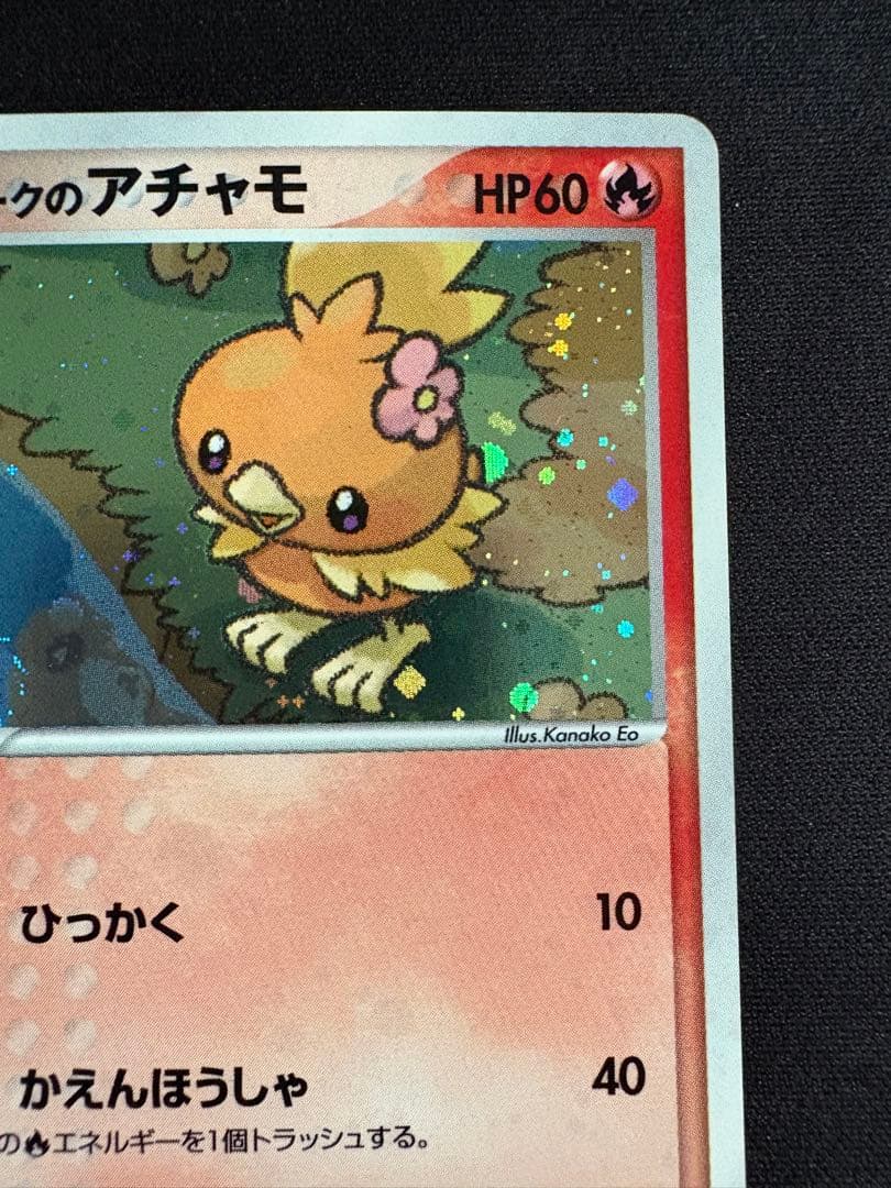 【渦巻きホロ】ポケパークのアチャモ ポケパークプレミアムファイル 002/009