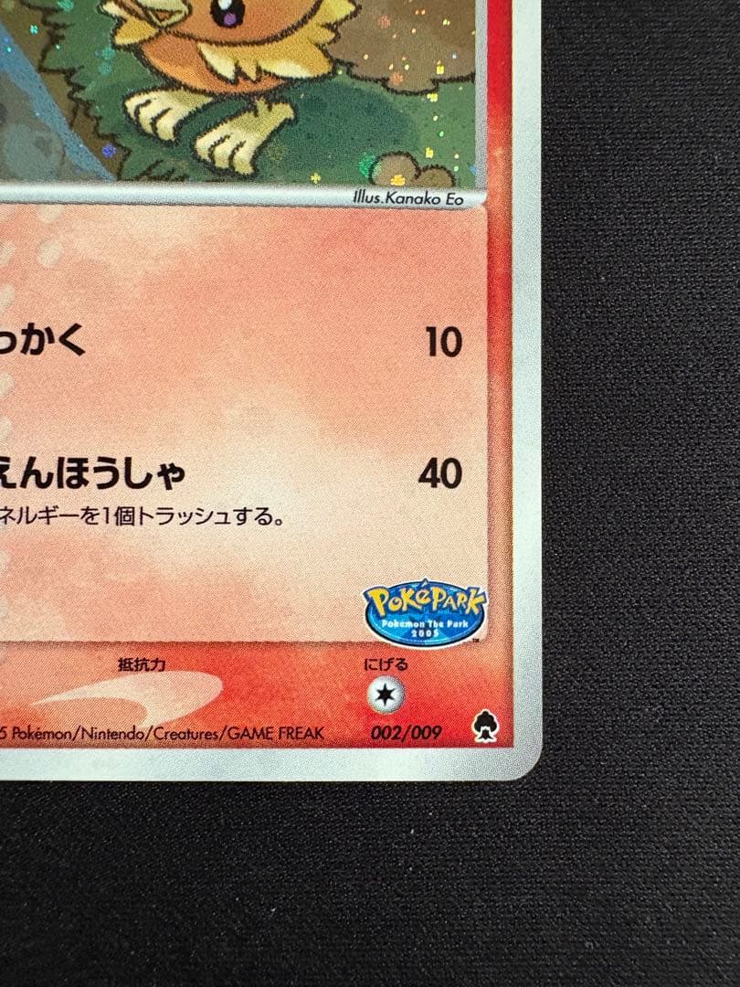 【渦巻きホロ】ポケパークのアチャモ ポケパークプレミアムファイル 002/009