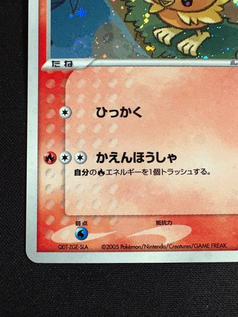 【渦巻きホロ】ポケパークのアチャモ ポケパークプレミアムファイル 002/009