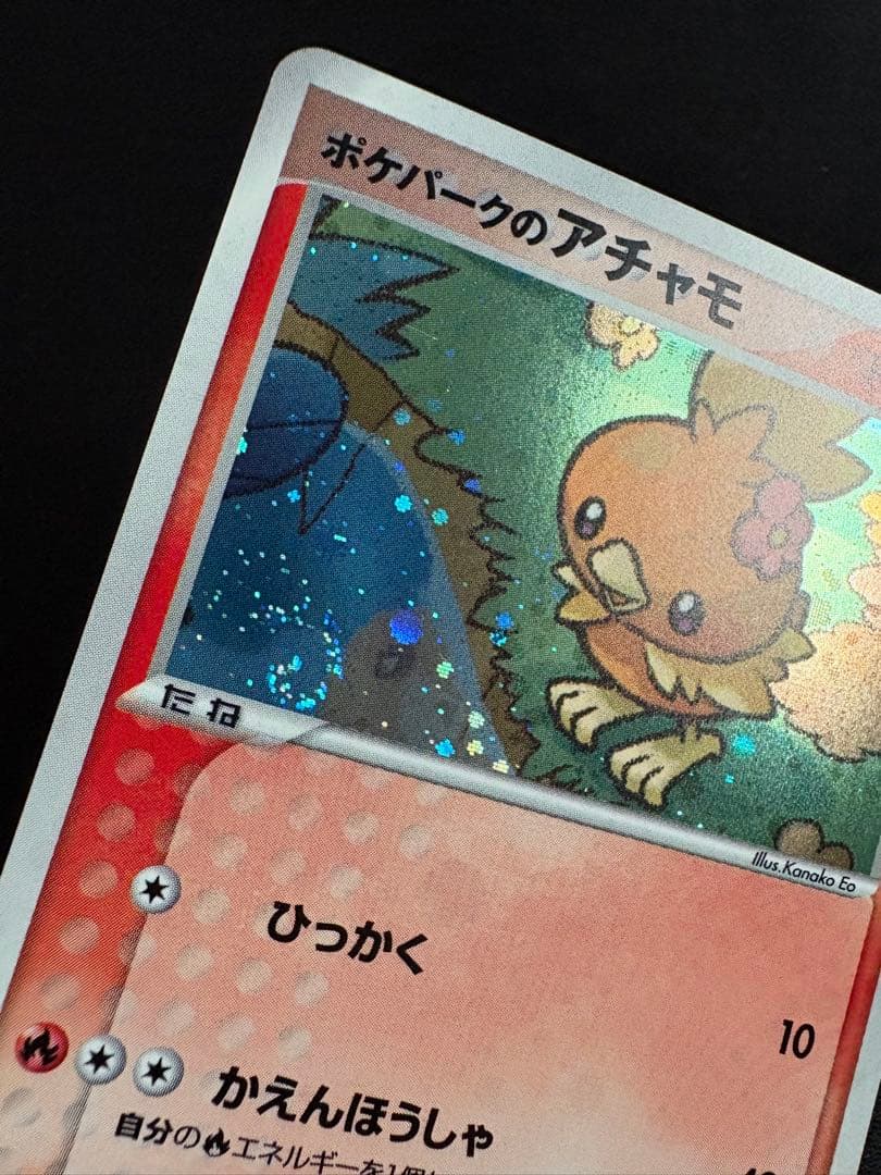 【渦巻きホロ】ポケパークのアチャモ ポケパークプレミアムファイル 002/009