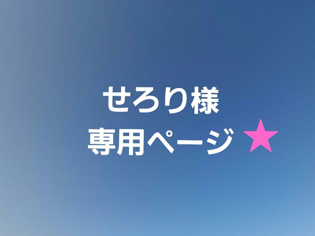 せろり様 おまとめ専用ページ ４点