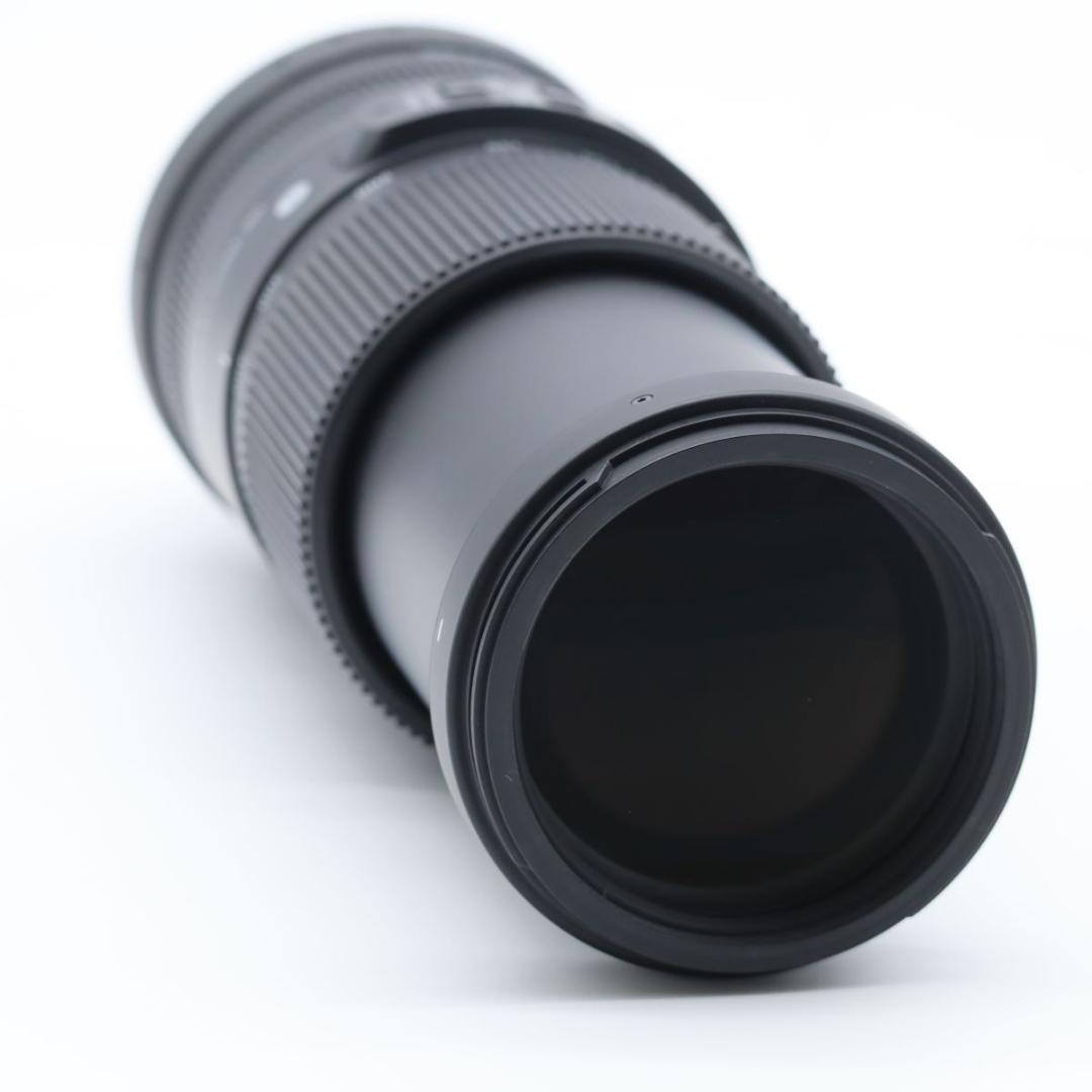 SIGMA 100-400mm F5-6.3 DG DN C ソニーE