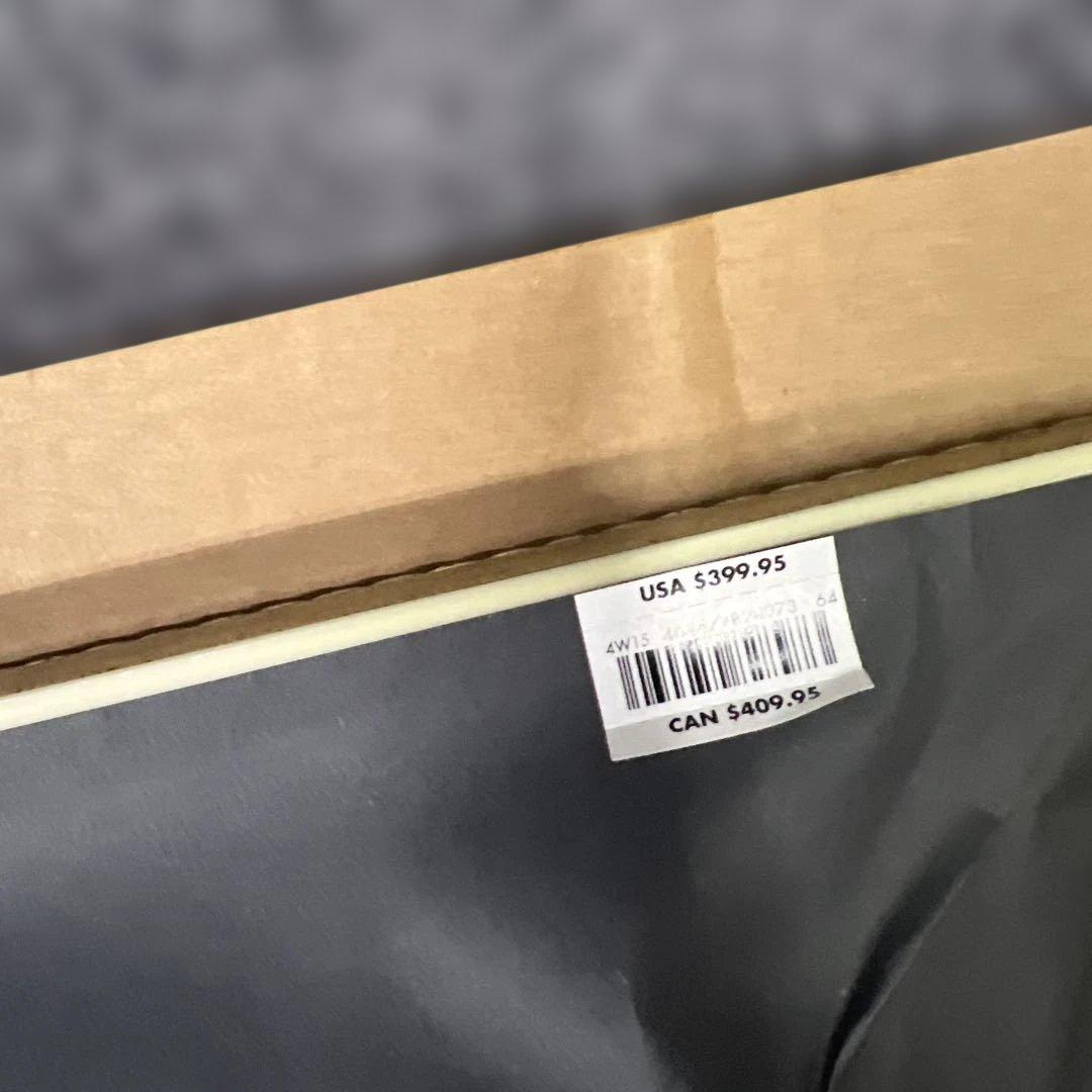 新品希少Disney Fine Art ディズニーファインアート アナと雪の女王