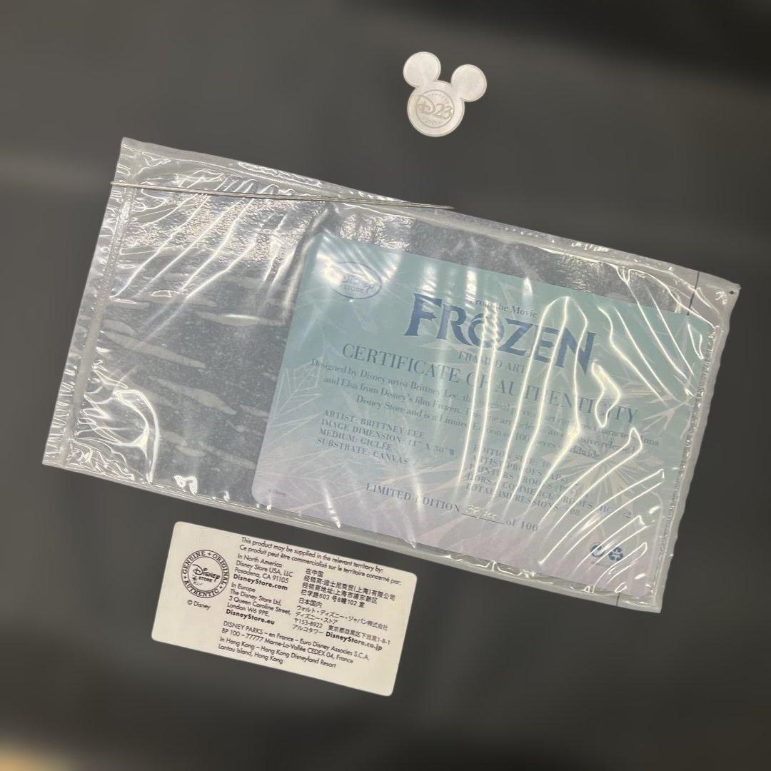 新品希少Disney Fine Art ディズニーファインアート アナと雪の女王