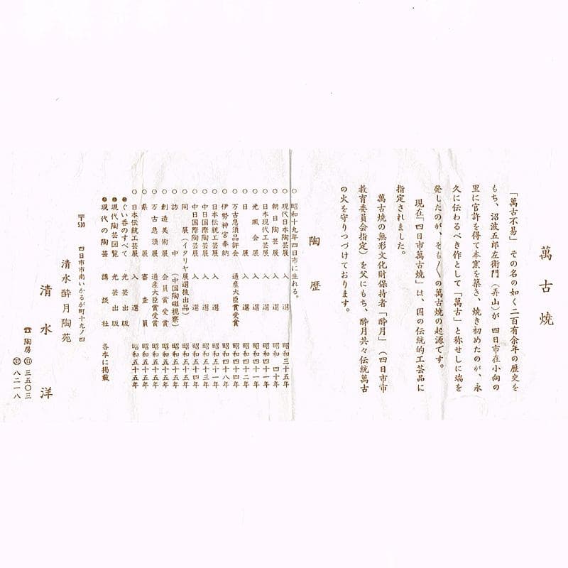 茶道具　萬古焼　清水洋造　横手急須　茶壷　共布共箱　V　6427