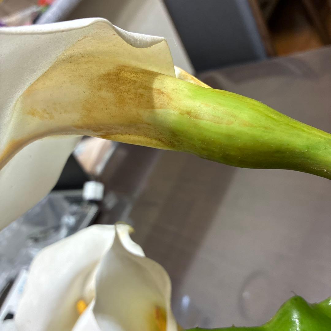 エミリオ・ロバ　花瓶付きカラー　エミリオロバ　アートフラワー