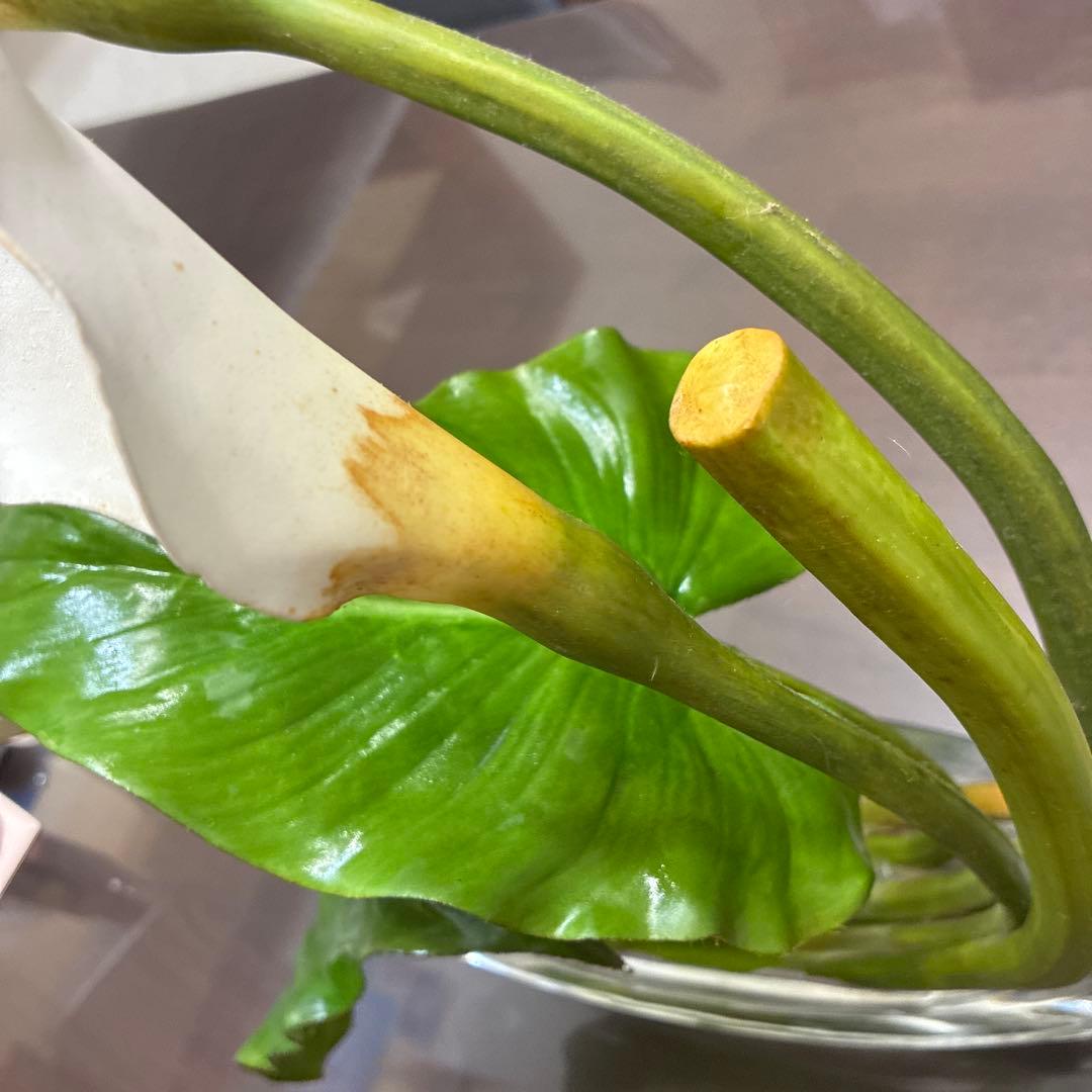 エミリオ・ロバ　花瓶付きカラー　エミリオロバ　アートフラワー