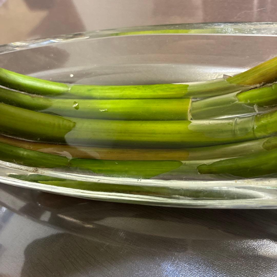 エミリオ・ロバ　花瓶付きカラー　エミリオロバ　アートフラワー