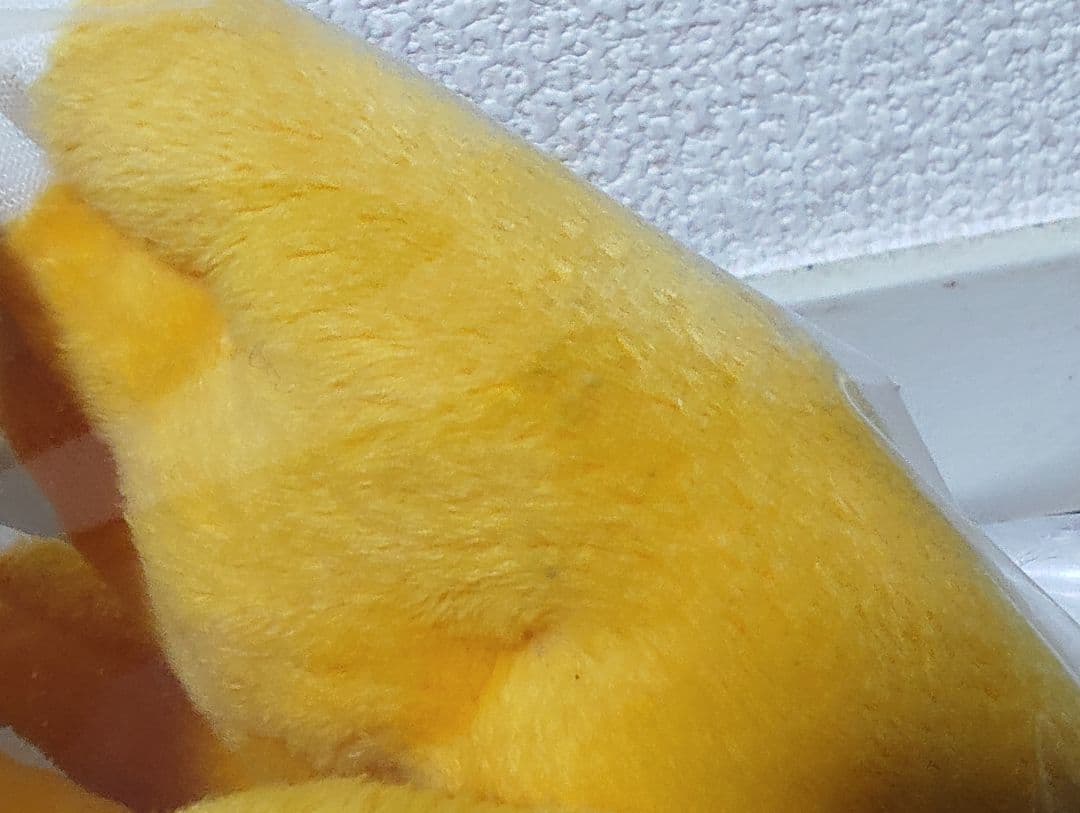 メガハウス STUFFED Collection デジモン アグモン