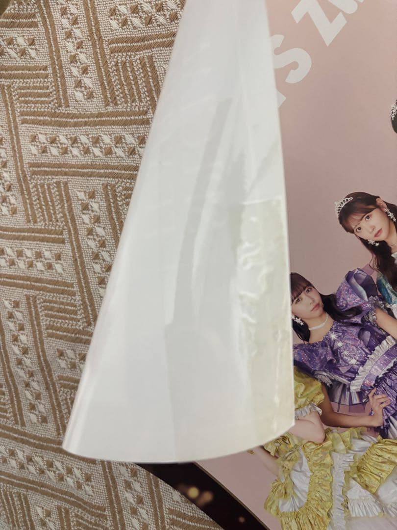 清*D様 fruits zipper ポスター　非売品