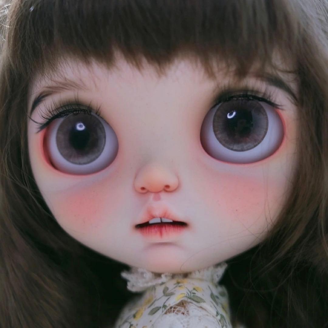 カスタムブライス 人形 キラキラ きれい 微笑み フルセット お嬢様 海外作家様