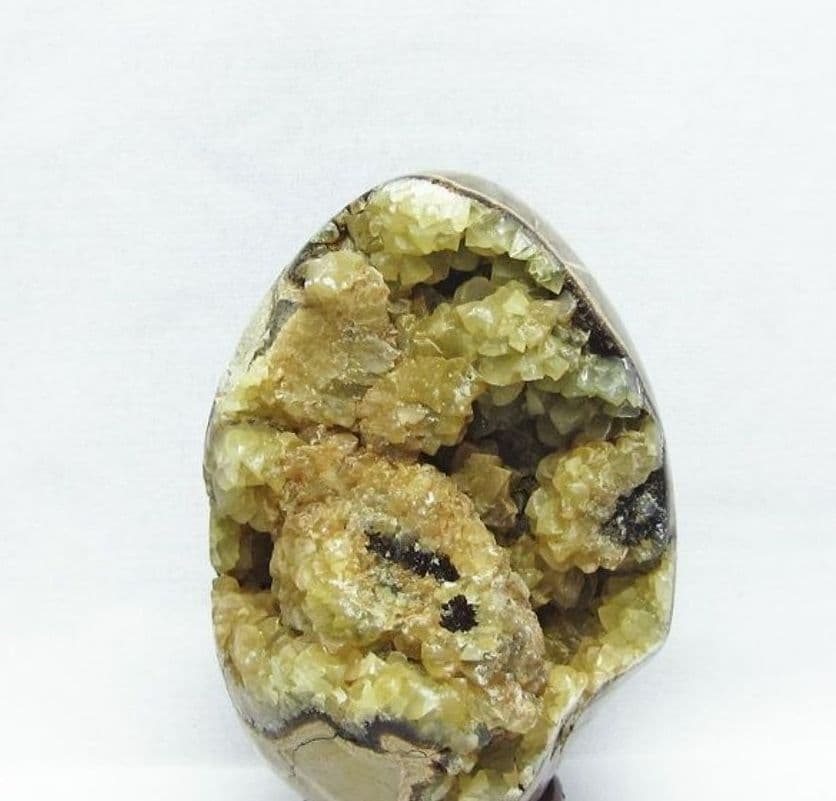 激ヤバ　マダガスカル産タートルジャスパー カルサイト共生 [T762-1648]