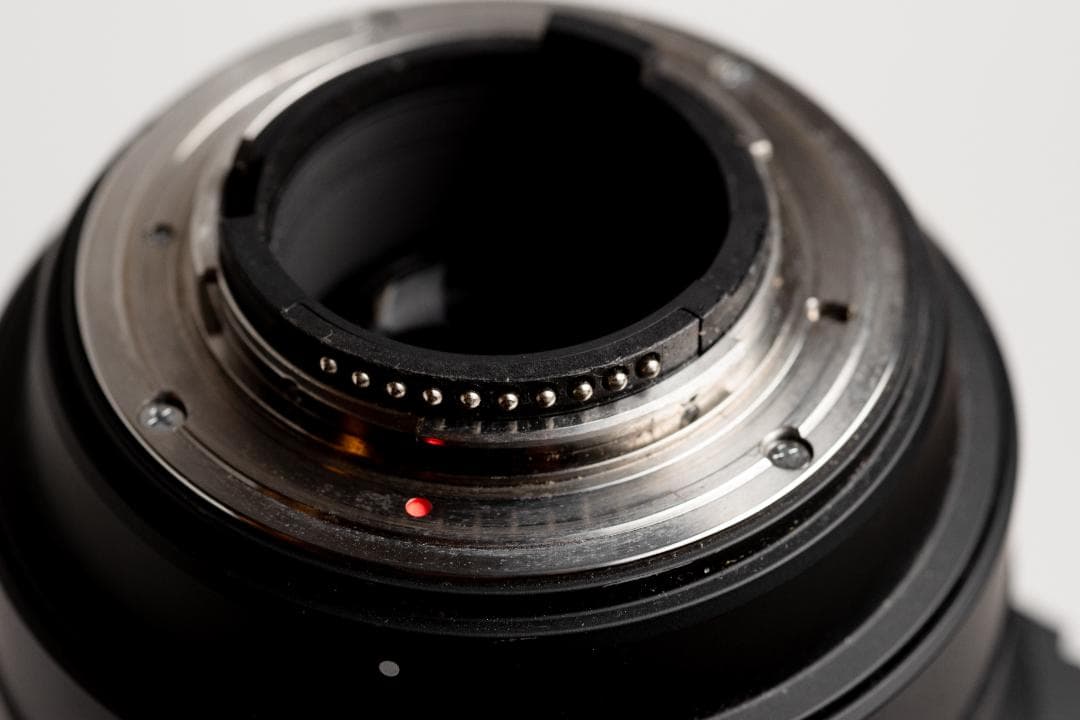 m*n様 SIGMA 50-500mm F4.5-6.3 APO DG HSM
