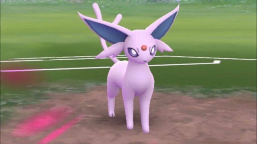 まるで等身大 エーフィ ブラッキー ペア 2体セット ポケモン ぬいぐるみ