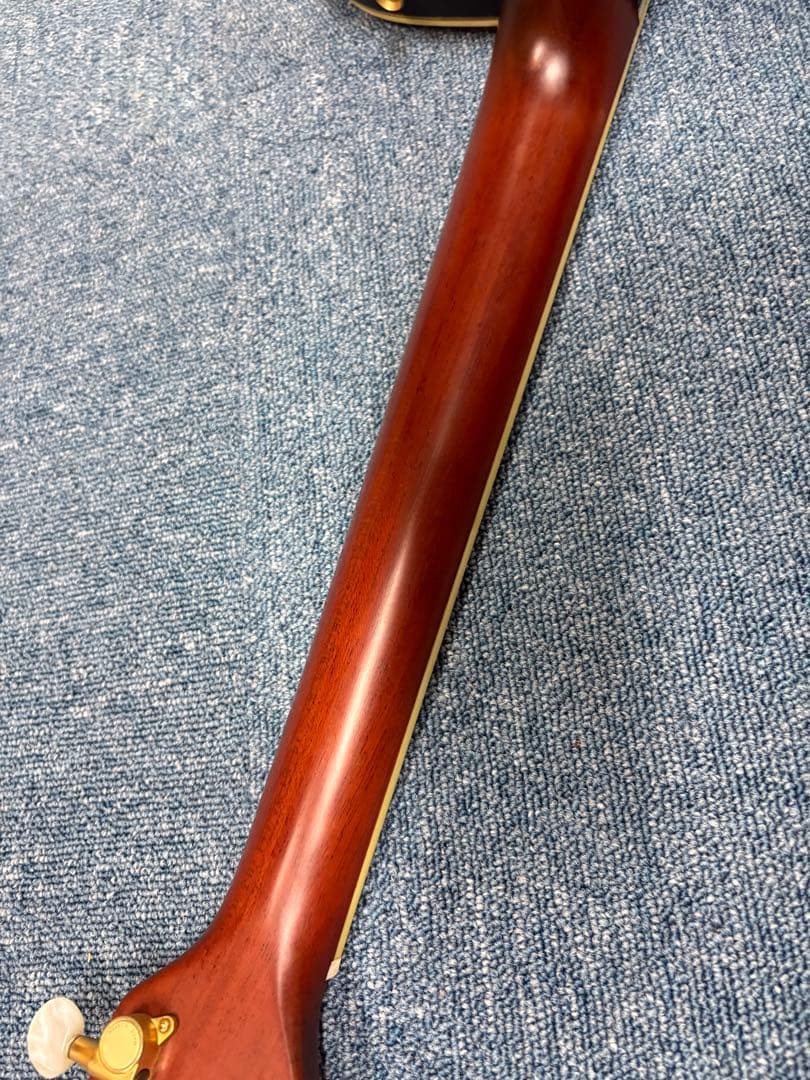 Morris tornado ZⅡ-DELUXE エレアコアコースティックギター