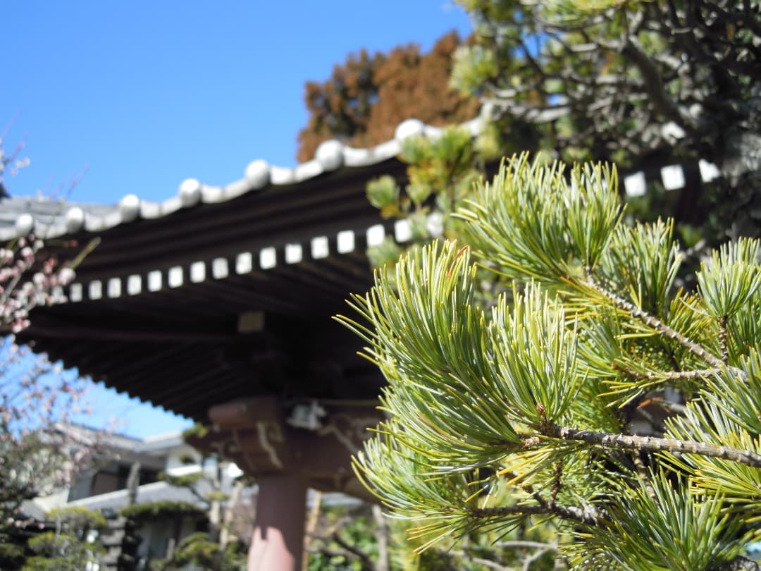 実写良⭕️【動作確認済】Nikon COOLPIX S640　レッド　デジカメ