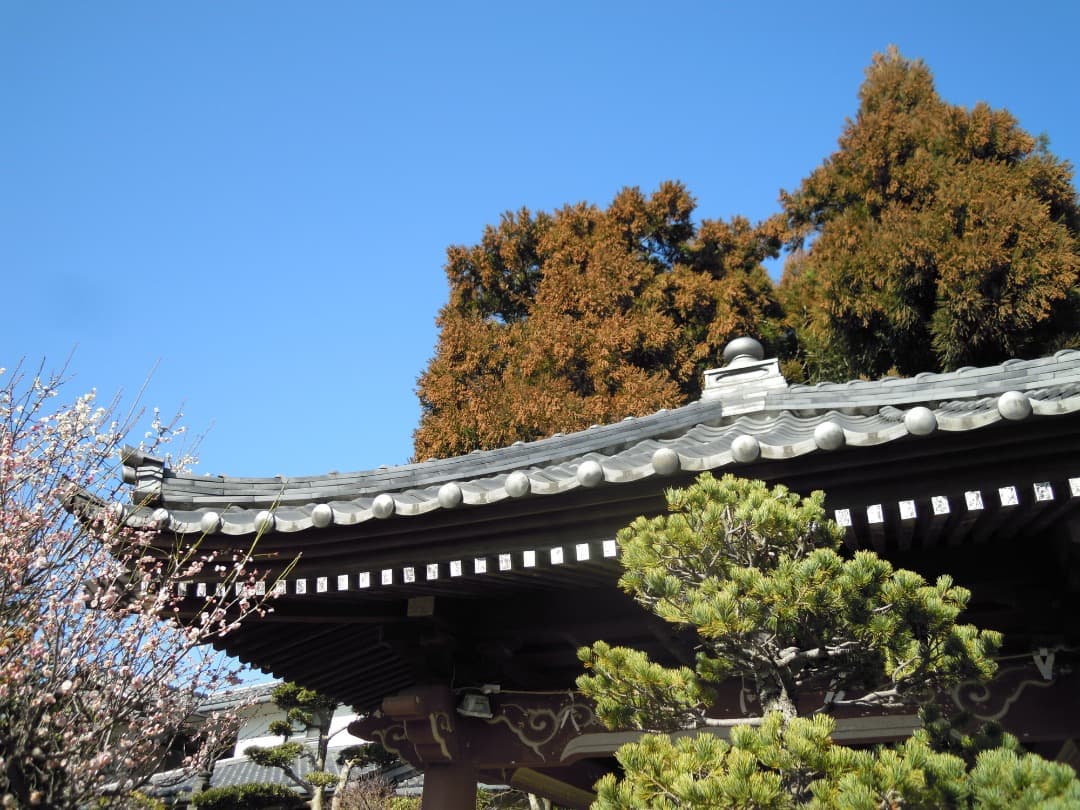 実写良⭕️【動作確認済】Nikon COOLPIX S640　レッド　デジカメ