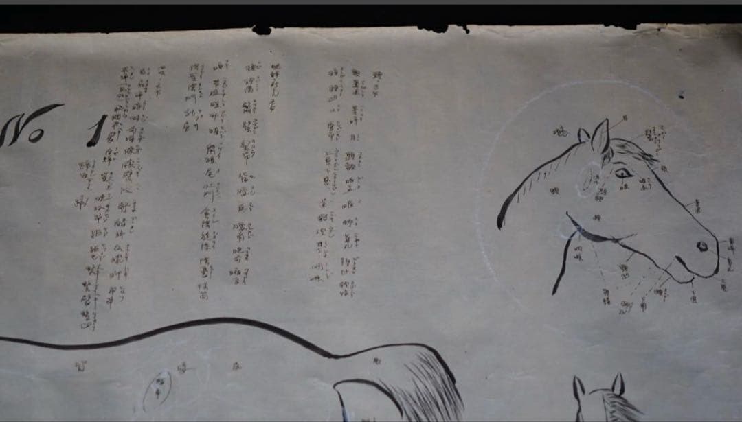 時代 馬学 巻物 まくり 4枚 和本 墨書 馬医書 馬療図 古文書 資料 戦前