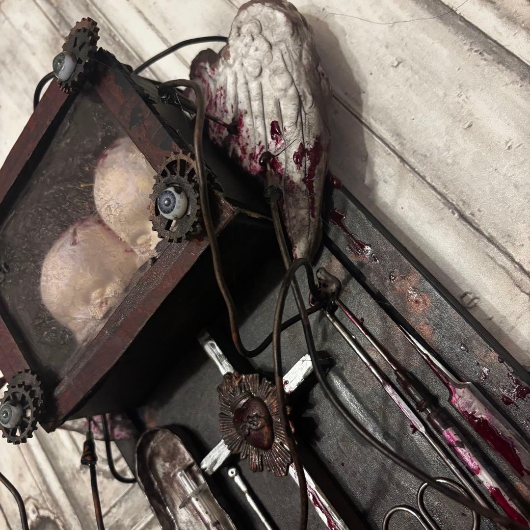 【Special Price】 天使解剖オブジェ