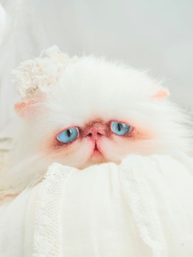 エキゾチックロングヘア♡生後１年♡アートドール♡ぬいぐるみ♡