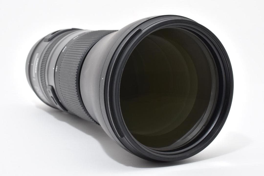 TAMRON 150-600mm F5-6.3 Di VC USD G2 ニコン