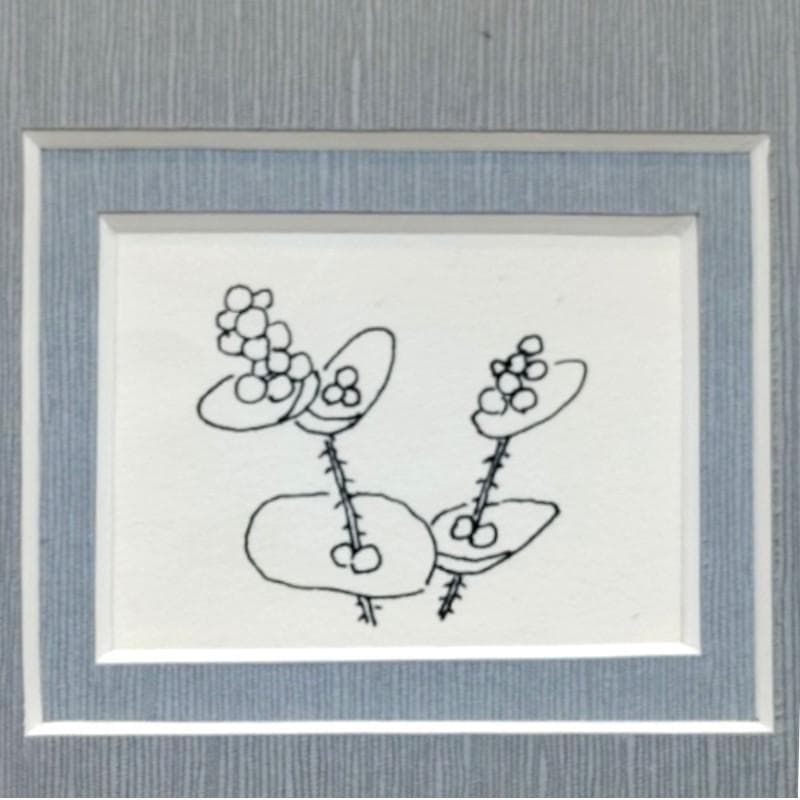 ☆坂本直行☆「 タカネスイバ 」ペン画　15ｃｍ角額　未使用！