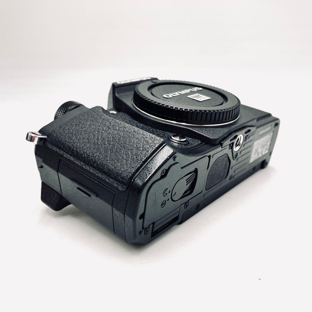 OLYMPUS OM-D E-M5 MKII 望遠ダブルレンズセット