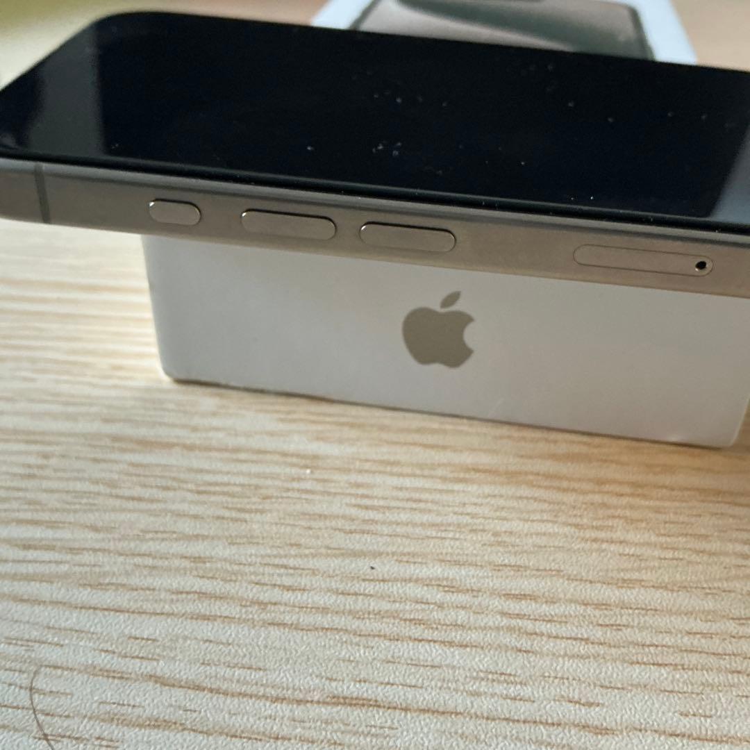 【最終価格1/27締め】海外版 iPhone15 Pro 256G シャッター音