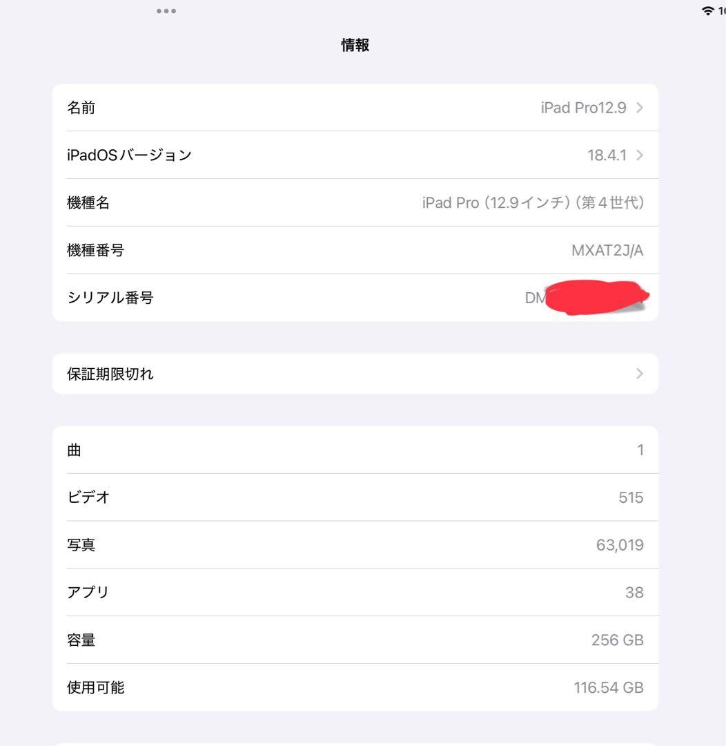 iPad Pro256GB(第四世代)+純正品Apple pencil