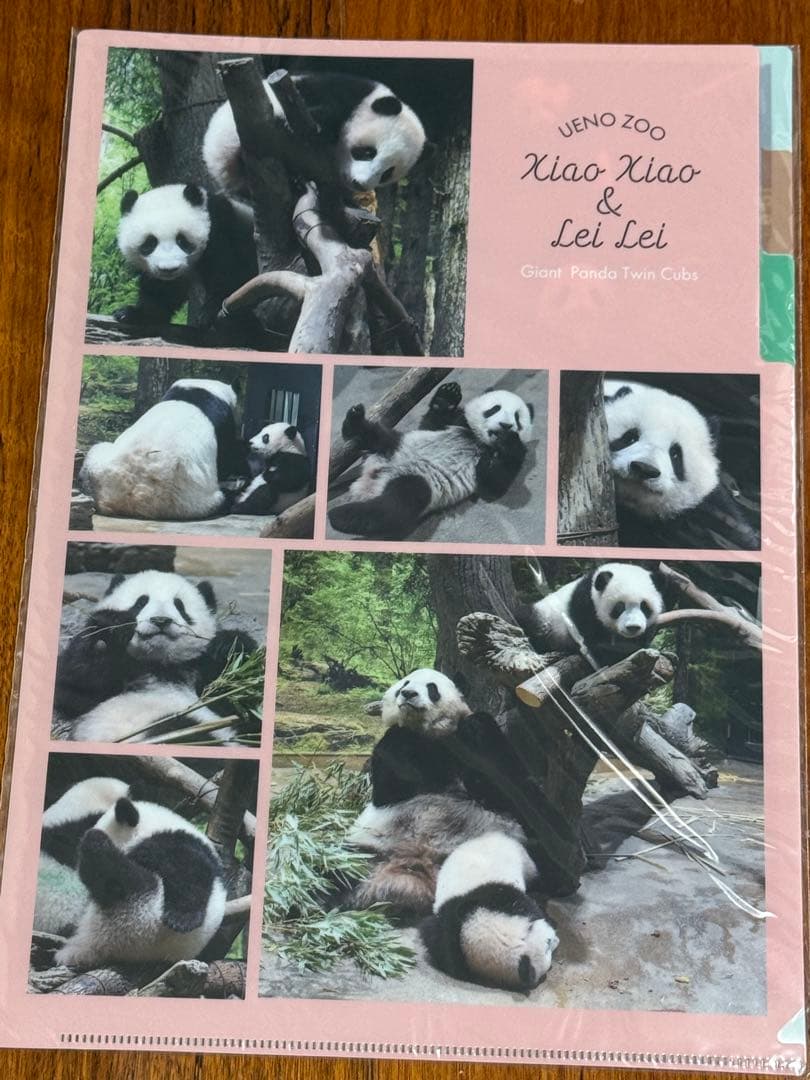 上野動物園　シャンシャン　レイレイ　シャオシャオ　クリアファイル