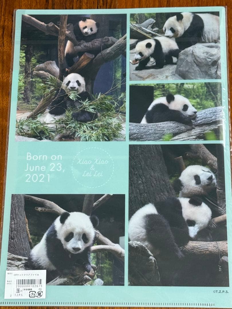上野動物園　シャンシャン　レイレイ　シャオシャオ　クリアファイル