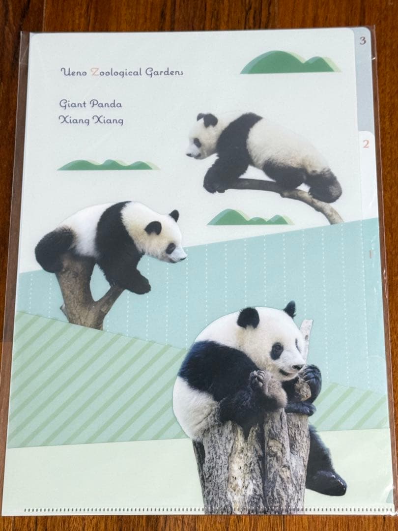 上野動物園　シャンシャン　レイレイ　シャオシャオ　クリアファイル