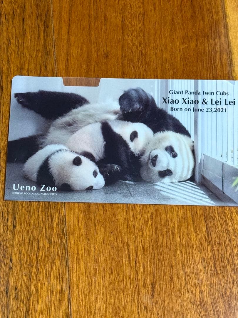 上野動物園　シャンシャン　レイレイ　シャオシャオ　クリアファイル