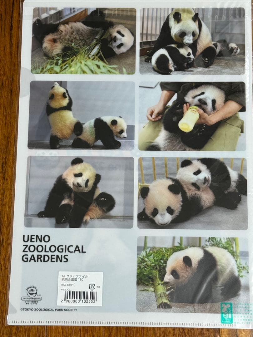 上野動物園　シャンシャン　レイレイ　シャオシャオ　クリアファイル