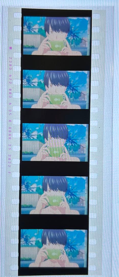 五等分の花嫁　映画　入場者特典　フィルム