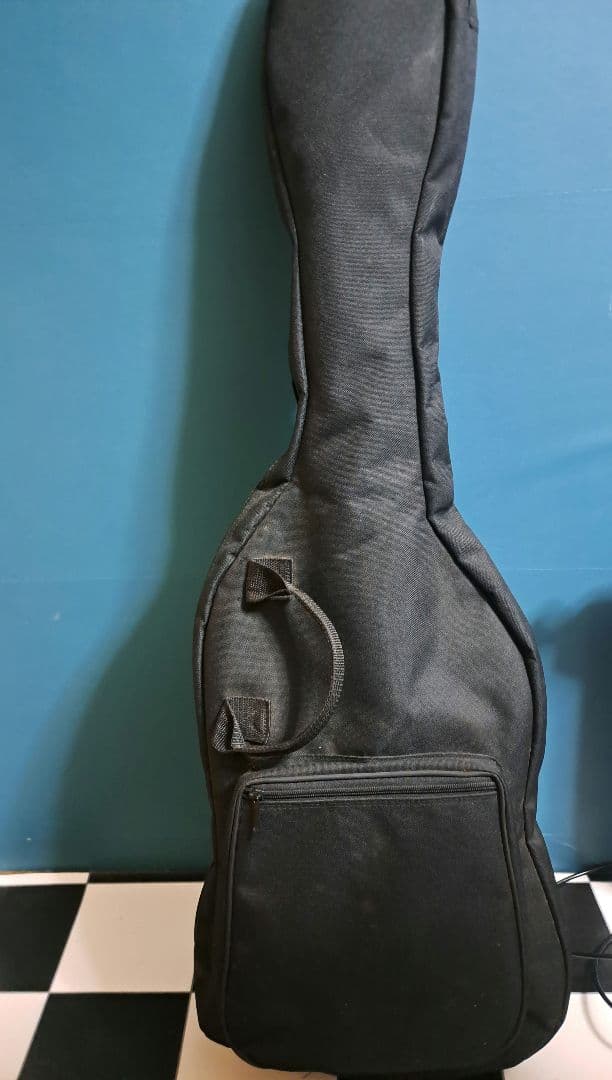 FERNANDES エレキギター シルバー FGZ-1C