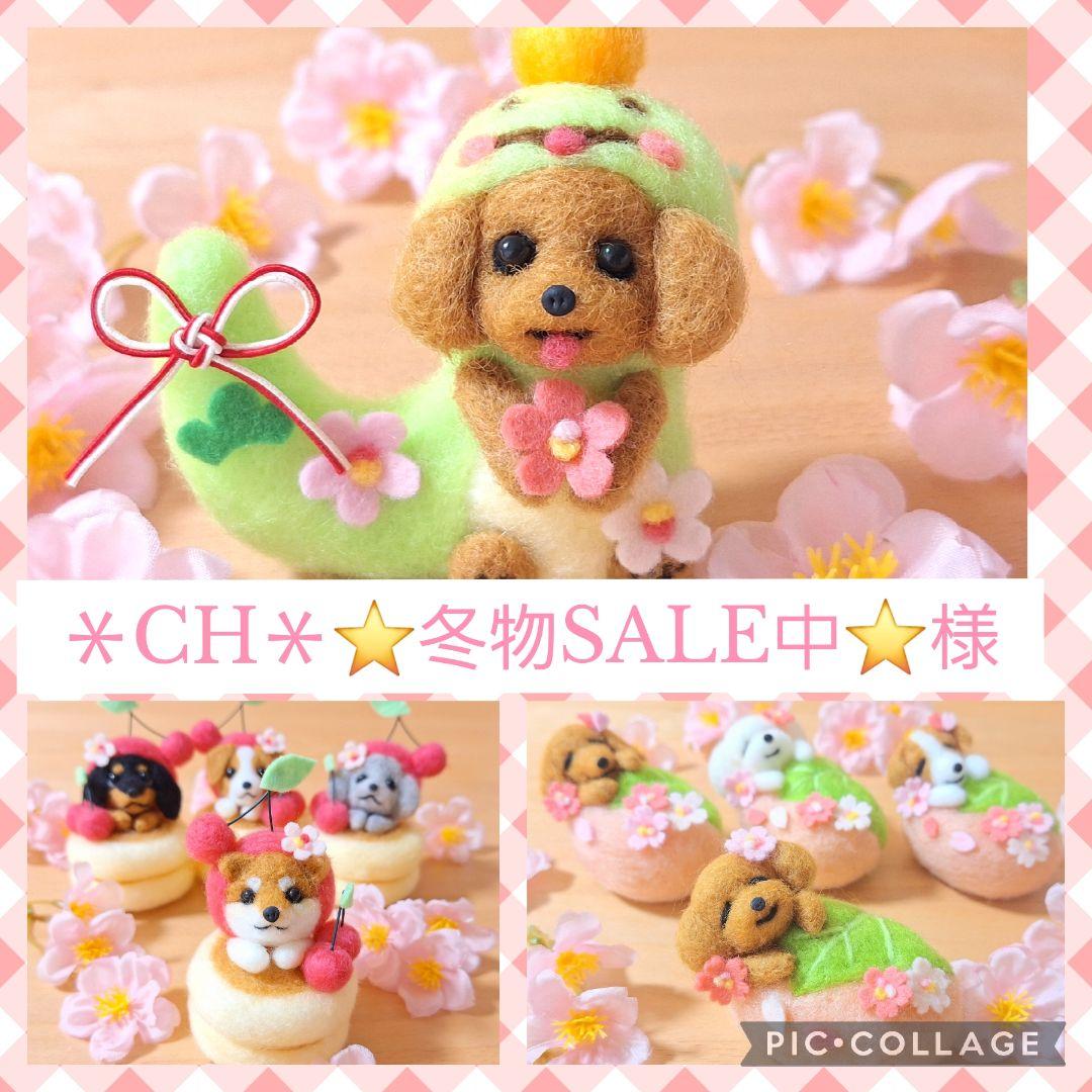 干支トイプードル ♡ 羊毛フェルト 縁起 犬